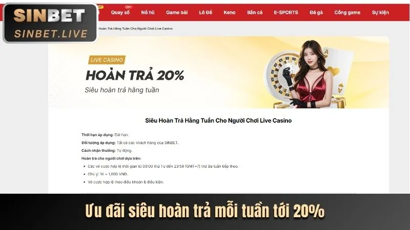 Hoàn trả casino hàng ngày neo88 net